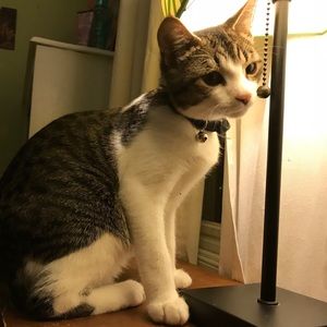 Meet your Posher, Erin